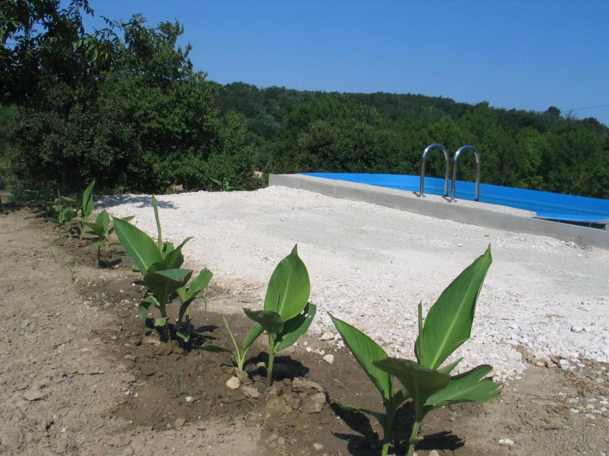 Reti Tanya Vendeghaz Hotel Kerecseny Exterior photo